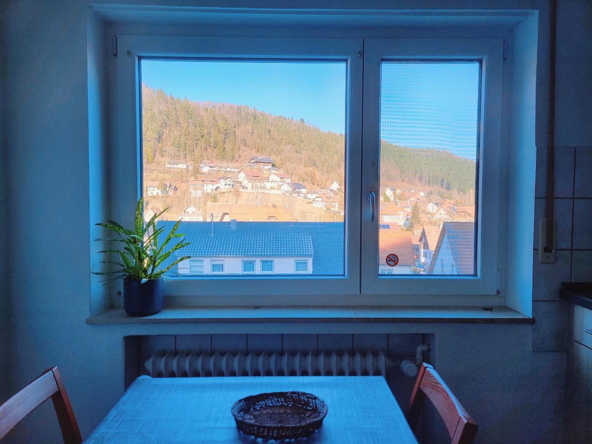 Privates Zimmer In Unterkunft Mit Glatttal Blick In Wasserschloss Nahe Sulz am Neckar Buitenkant foto